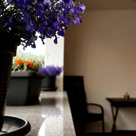 Zentrale Mit Balkon Apartmán *